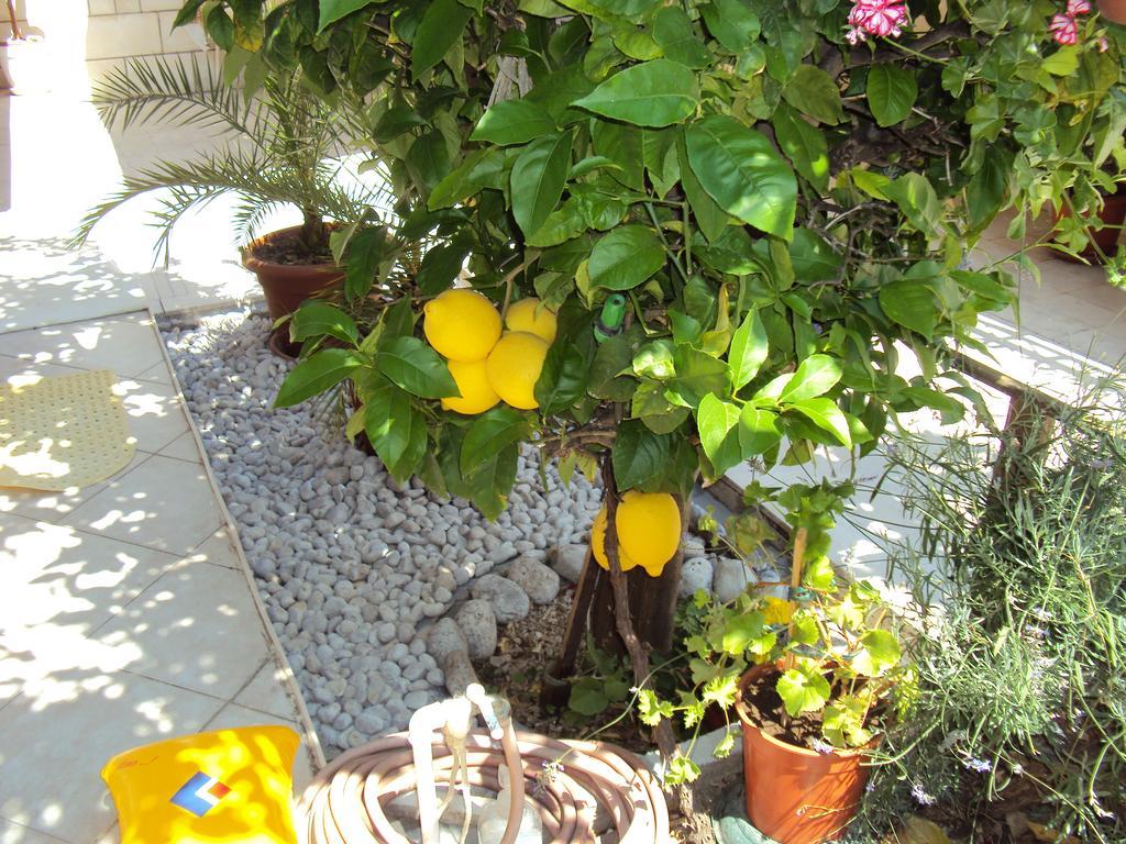 Apartment Lemon Dubrovnik Exterior foto